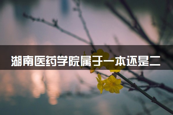 湖南医药学院属于一本还是二本？2025年报考建议及分数线预测