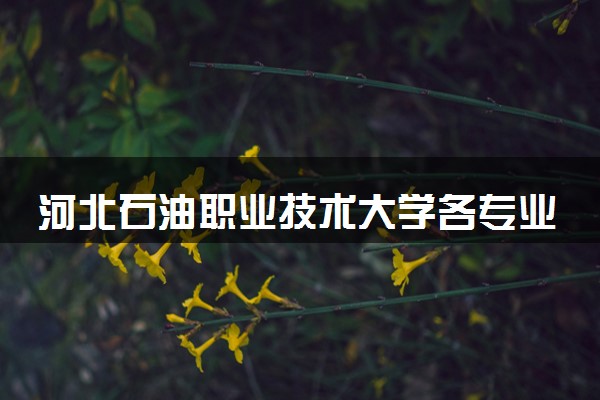河北石油职业技术大学各专业学费多少钱一年 收费标准是什么