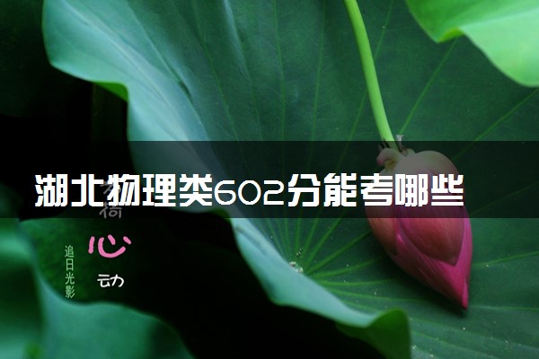 湖北物理类602分能考哪些大学 2025考生稳上的大学名单