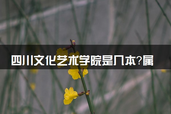 四川文化艺术学院是几本？属于一本还是二本？2025年分数线预测及报考建议