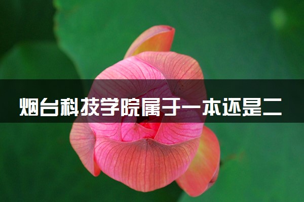 烟台科技学院属于一本还是二本？本科一批、二批的区别及报考建议