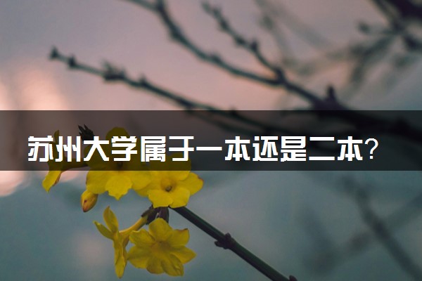 苏州大学属于一本还是二本？本科一批、二批的区别及报考建议