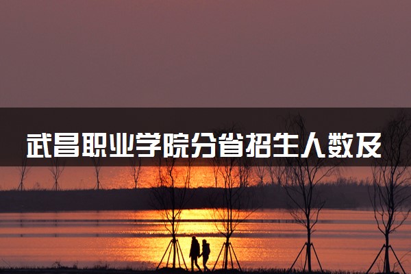 武昌职业学院分省招生人数及招生专业2025年招生计划参考