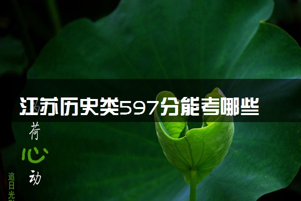 江苏历史类597分能考哪些大学 2025考生稳上的大学名单