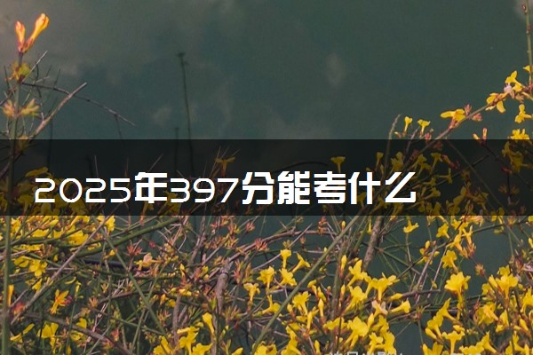 2025年397分能考什么综合类大学 哪些大学值得报