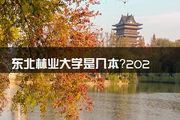 东北林业大学是几本？2025年各省录取分数线预测及报考建议