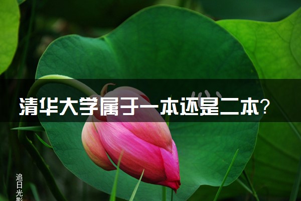 清华大学属于一本还是二本？2025年报考建议及分数线预测