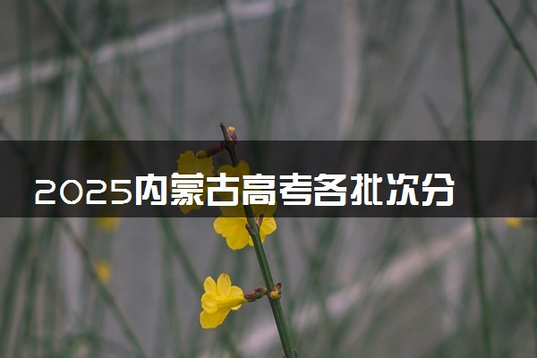 2025内蒙古高考各批次分数线预测 附最低录取分预估