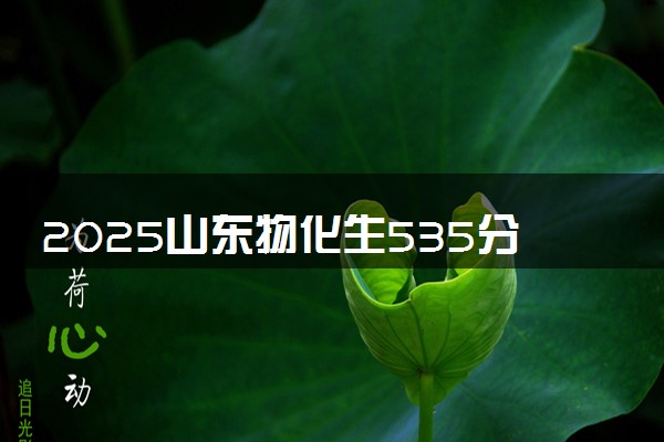 2025山东物化生535分左右能上什么大学 可以报考的院校名单