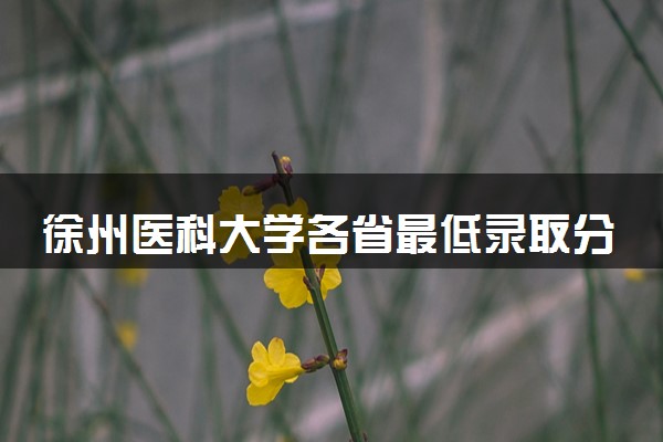 徐州医科大学各省最低录取分数线及位次排名 2025考多少分能上徐州医科大学