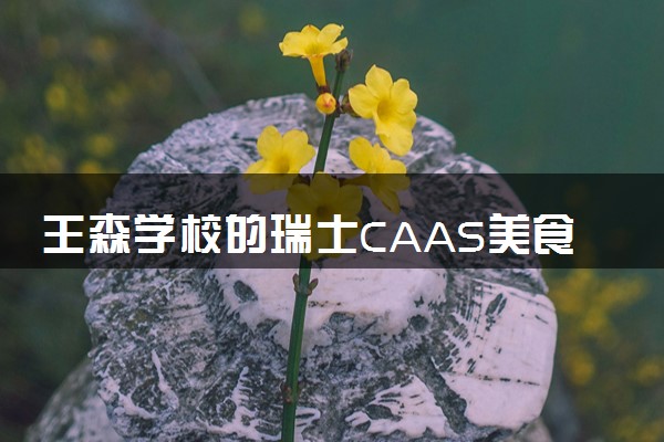 王森学校的瑞士CAAS美食艺术管理专业值得选择吗