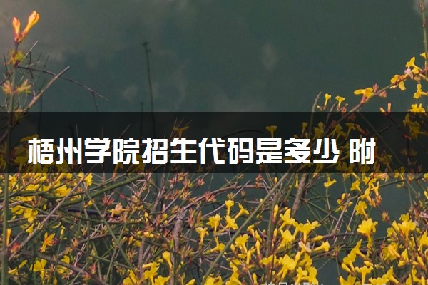 梧州学院招生代码是多少 附专业代码对照表（2025参考）