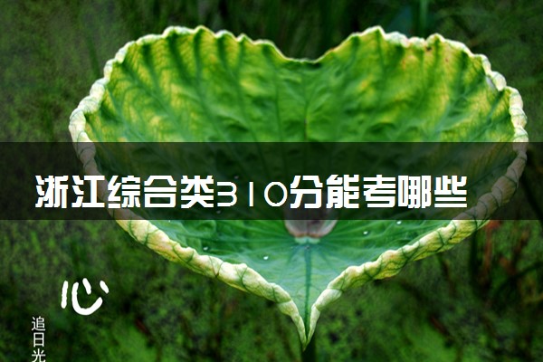 浙江综合类310分能考哪些大学 2025考生稳上的大学名单