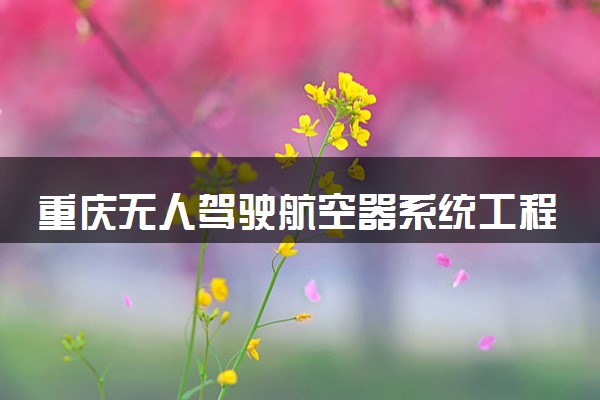 重庆无人驾驶航空器系统工程专业各大学录取分数线：最低491分能上 开设院校及位次