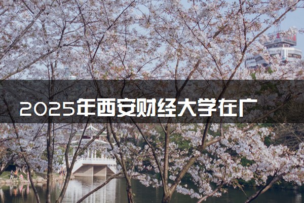 2025年西安财经大学在广东招生代码及专业代码 西安财经大学广东代码是多少？怎么查询？