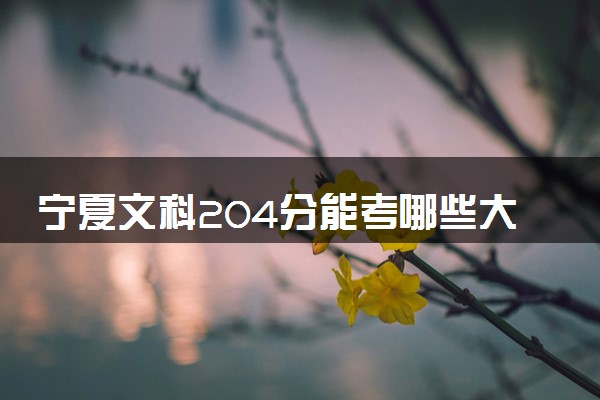 宁夏文科204分能考哪些大学 2025考生稳上的大学名单