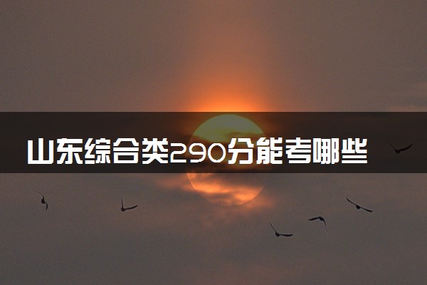 山东综合类290分能考哪些大学 2025考生稳上的大学名单