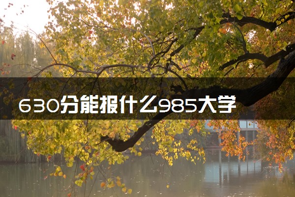 630分能报什么985大学 2025推荐院校