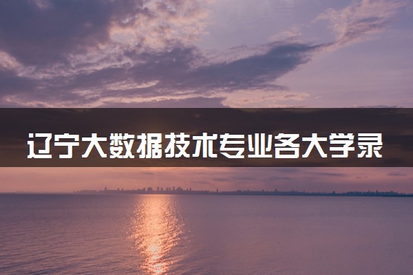 辽宁大数据技术专业各大学录取分数线：最低174分能上 开设院校及位次