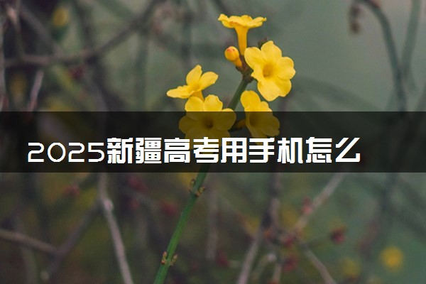 2025新疆高考用手机怎么填报志愿 附入口及方法流程