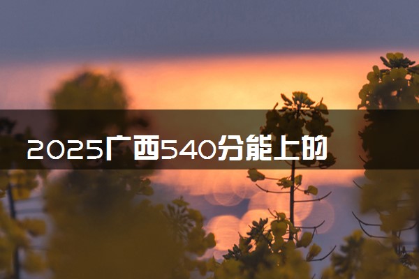 2025广西540分能上的大学有哪些 可以报考院校名单