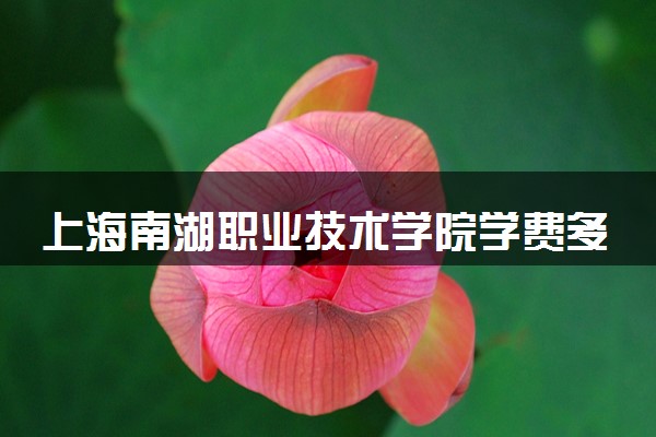 上海南湖职业技术学院学费多少钱一年 各专业收费标准（2025年参考）