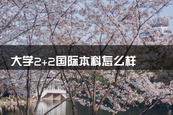 大学2+2国际本科怎么样 学历含金量高吗