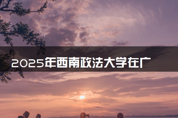 2025年西南政法大学在广西招生代码及专业代码 西南政法大学广西代码是多少？怎么查询？