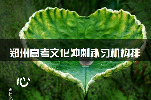 郑州高考文化冲刺补习机构排行榜