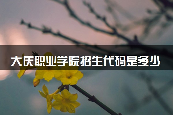 大庆职业学院招生代码是多少 附专业代码对照表（2025参考）