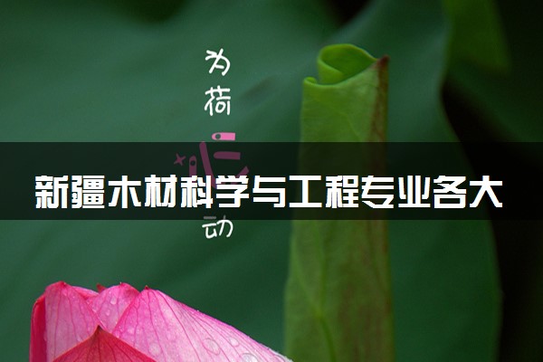 新疆木材科学与工程专业各大学录取分数线：最低365分能上 开设院校及位次