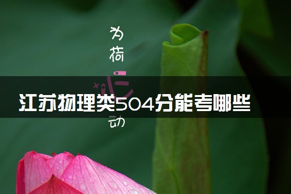 江苏物理类504分能考哪些大学 2025考生稳上的大学名单