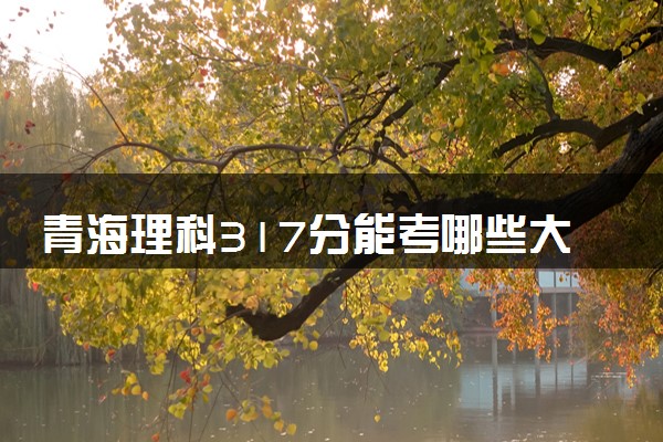 青海理科317分能考哪些大学 2025考生稳上的大学名单