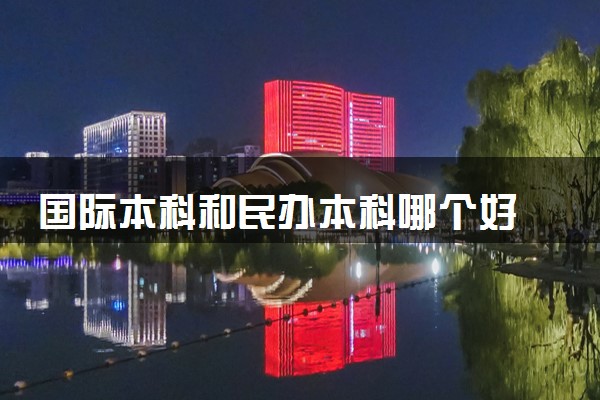 国际本科和民办本科哪个好 有什么区别