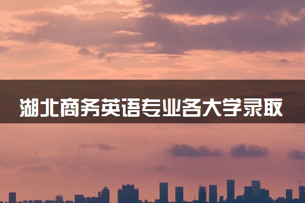 湖北商务英语专业各大学录取分数线：最低245分能上 开设院校及位次