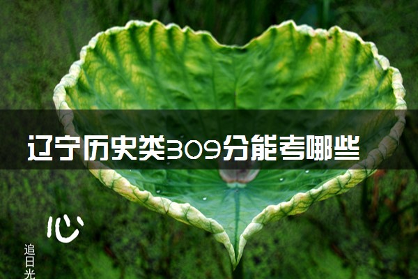 辽宁历史类309分能考哪些大学 2025考生稳上的大学名单