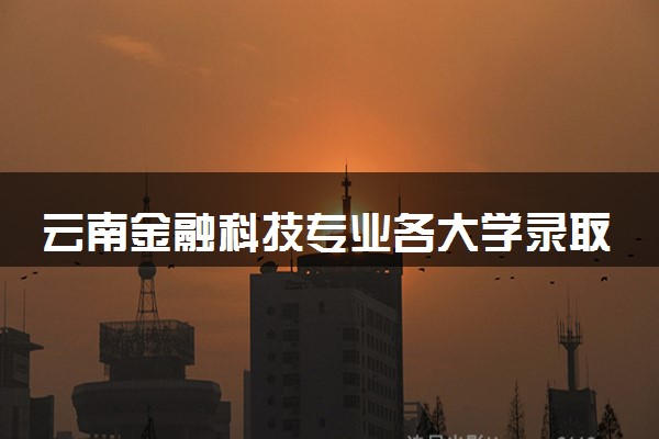 云南金融科技专业各大学录取分数线：最低426分能上 开设院校及位次