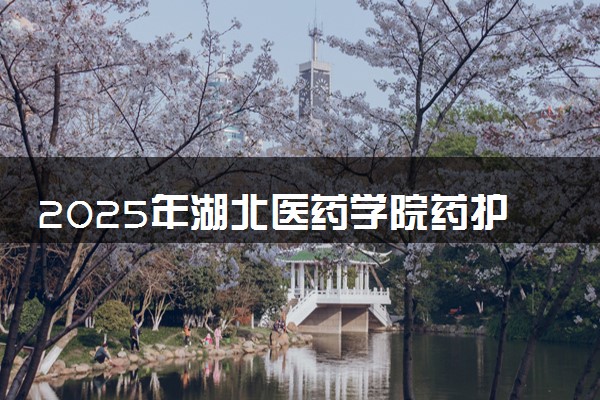 2025年湖北医药学院药护学院在青海招生代码及专业代码 湖北医药学院药护学院青海代码是多少？怎么查询？