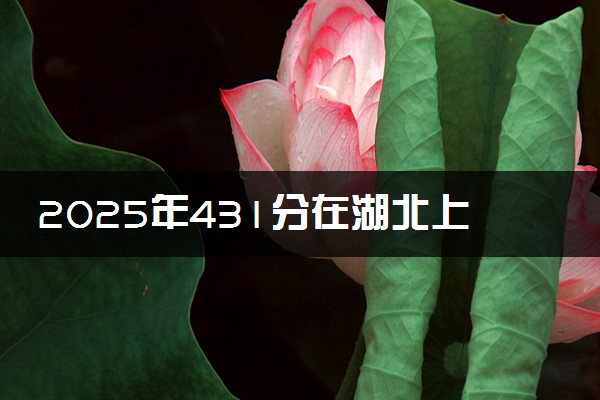 2025年431分在湖北上什么大学好 近三年录取分数线是多少
