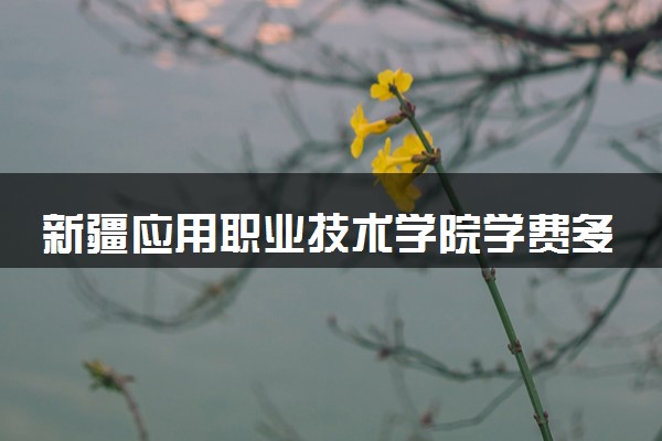 新疆应用职业技术学院学费多少钱一年 各专业收费标准（2025年参考）