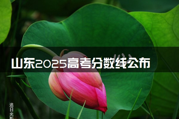 山东2025高考分数线公布时间 附成绩查询时间和网址入口