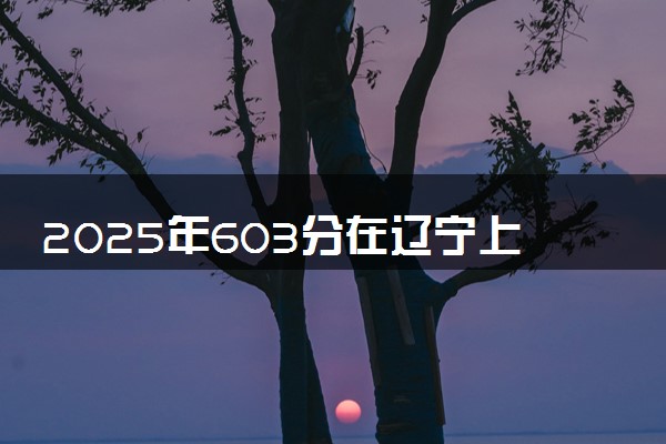 2025年603分在辽宁上什么大学好 近三年录取分数线是多少