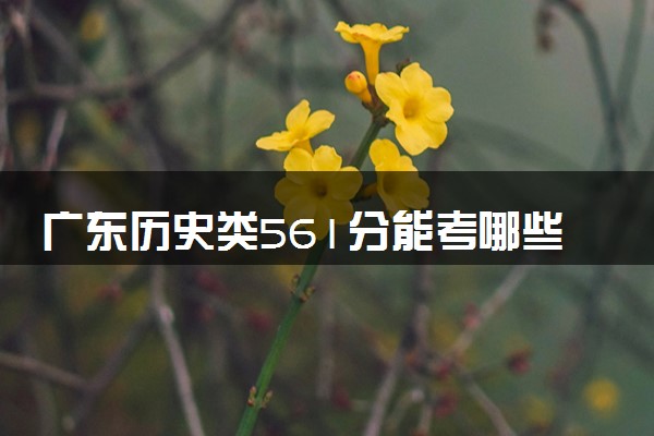 广东历史类561分能考哪些大学 2025考生稳上的大学名单