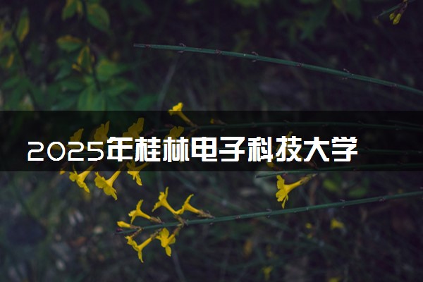 2025年桂林电子科技大学在内蒙古招生代码：B12 专业代码及报考指南