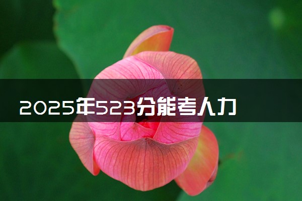 2025年523分能考人力资源管理专业吗 523分人力资源管理专业大学推荐