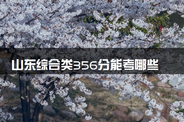 山东综合类356分能考哪些大学 2025考生稳上的大学名单