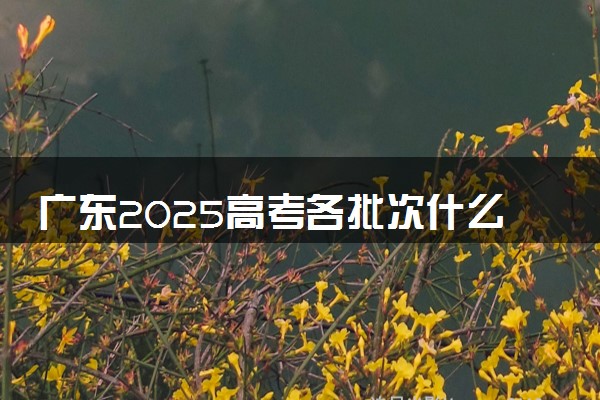 广东2025高考各批次什么时候填报志愿 有几天时间