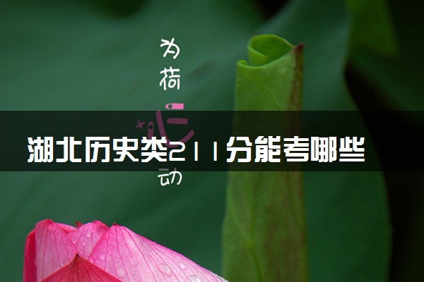 湖北历史类211分能考哪些大学 2025考生稳上的大学名单