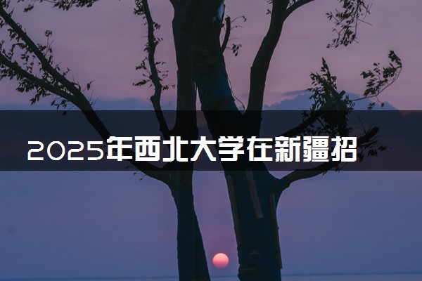 2025年西北大学在新疆招生代码及专业代码 西北大学新疆代码是多少？怎么查询？