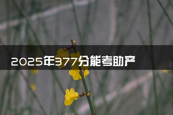 2025年377分能考助产专业吗 377分助产专业大学推荐